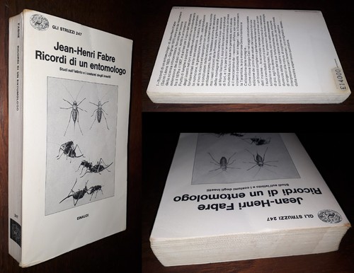 Ricordi entomologo - di,