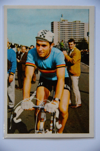 Carta eddy merckx - eddy,
