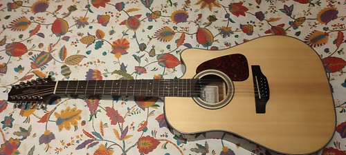 Chitarra takamine corde g - takamine,