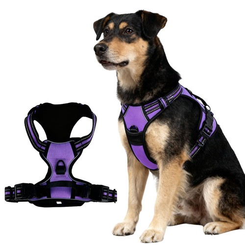 Pettorina per cani taglia - cani,