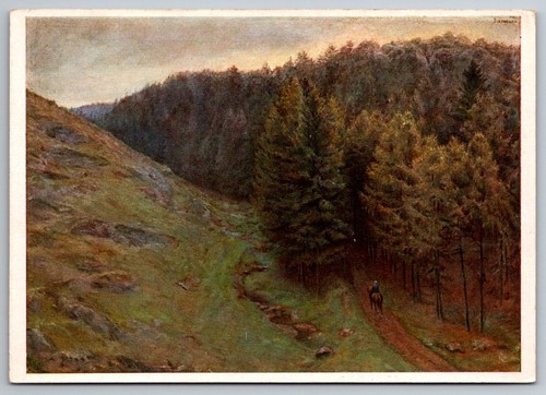 Cartolina paesaggio forestale - cartolina,