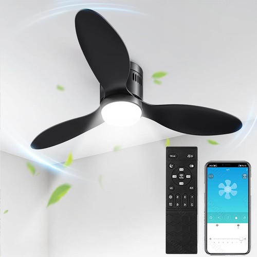 Ventilatore soffitto - ventilatore,