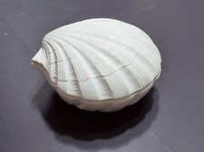 Conchiglia ceramica di - conchiglia,