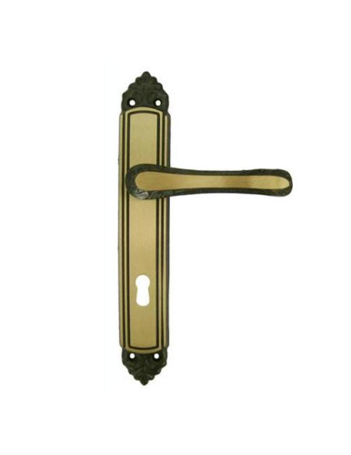 Coppia maniglie con placca - con,