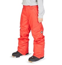 DC Banshee Snowboard Pants