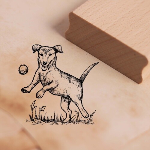 Motivstempel hund spielt mit - motivstempel,