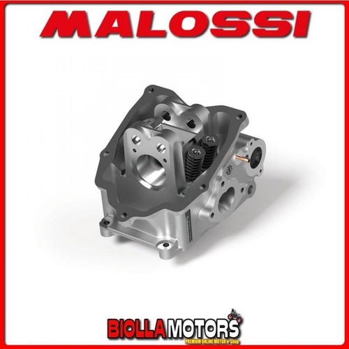 3813273 testa cilindro malossi - 3813273,