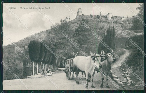 Perugia assisi carro buoi - perugia,