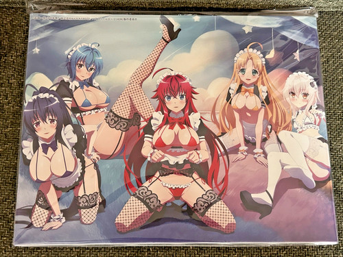 High school dxd hero - school,