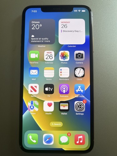 Apple iphone pro max 64gb - apple,