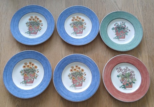 Piatto giardino vintage - giardino,