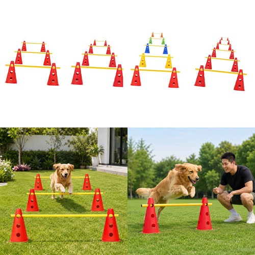 Coni per agility - , ostacoli