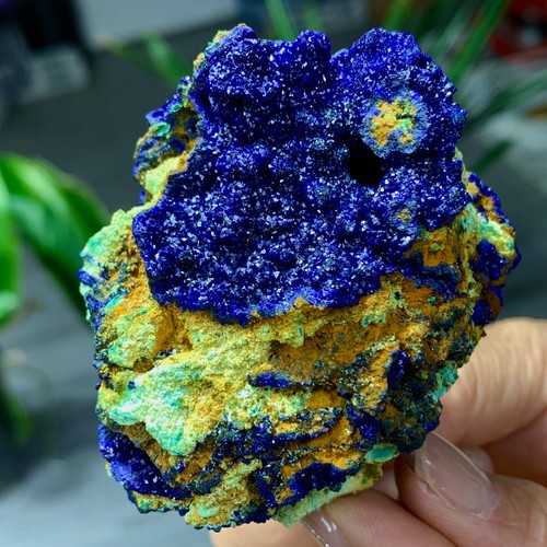 120g migliori esemplari - migliori,