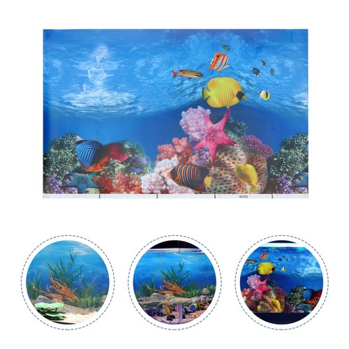 Acquario sfondo pesci - sfondo,