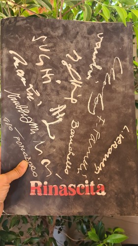 Speciale rinascita disegni - rinascita,