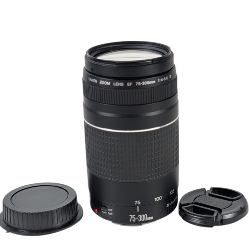 Canon 300mm 5 - 75-300mm, f/4-5.6