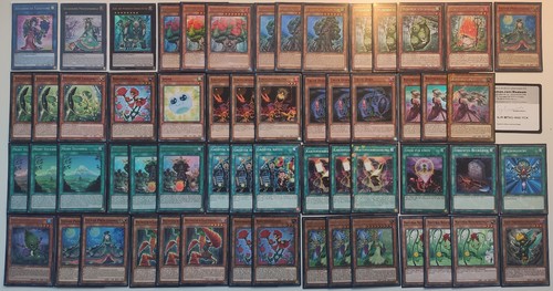 Sylvanisch pflanze xyz - sylvanisch,