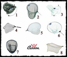 testa guadino con filettatura universale da pesca mare lago fiume rete retino