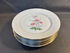 Lotto 8 Antiche Piatti