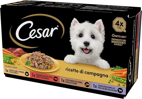 Cesar ricette campagna cibo - campagna,