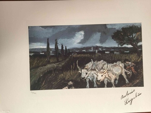 Antonio ligabue litografia - ligabue,
