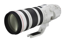 Canon EF 200-400 mm / 4,0 L IS USM + extender 1,4 x - dal rivenditore