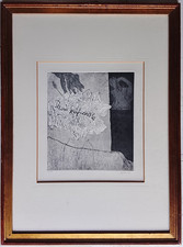 Gino Meloni – Rosa