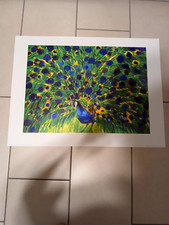 Poster vintage Original Walasse Ting Paon Peacock 60 x 80 cm