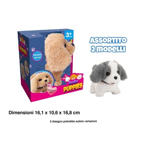 Spasso con puppy cane - puppy,