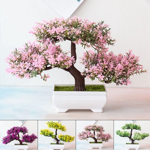 Bonsai simulazione artificiale - simulazione,