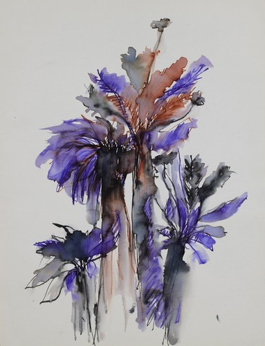 Pierre graziani - 25, x