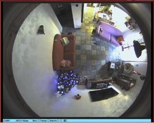 TELECAMERA FISHEYE 1.3MegaPixel PoE con DVR su SD-Card