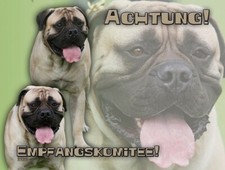 BULLMASTIFF cartello per cani
