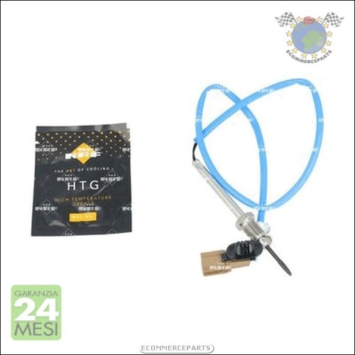 Sensore temperatura gas