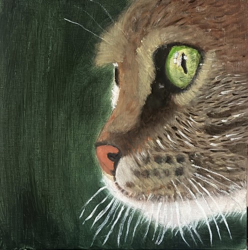 Quadro olio tela - olio,