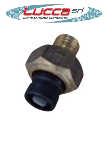 250462 termointerruttore spia - 250462,