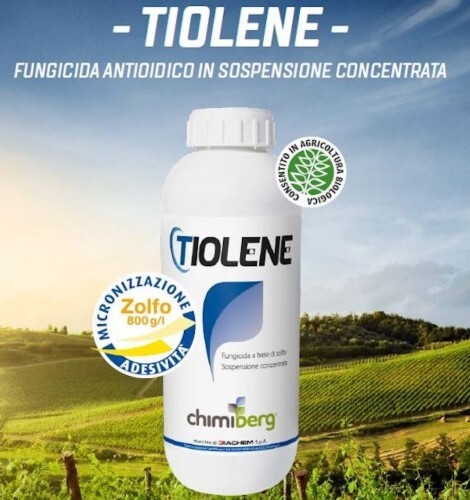 Tiolene pfnpe fungicida - pfnpe,