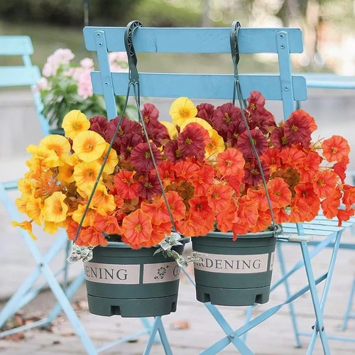 Per decorazione primavera - decorazione,