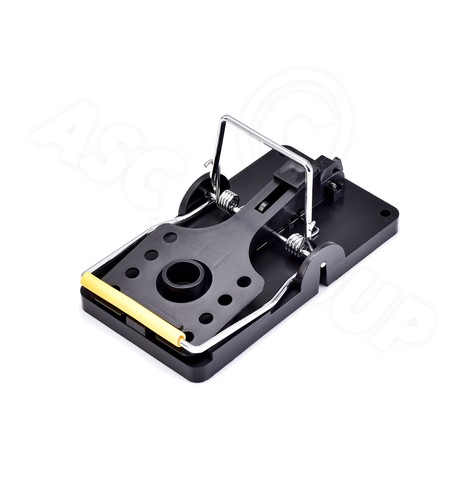Mouse trappola molla scatto - mouse,