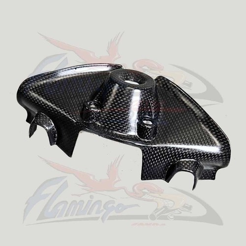 Accessori carbonio ducati - carbonio,