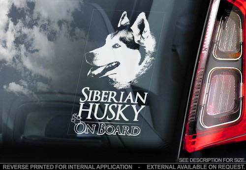 Husky car window - husky,