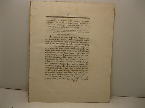 Briganti vincenzo - briganti,