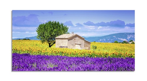 Quadro stampa pannello - su, in