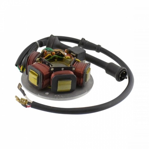 256309 statore magnete volano - 256309,