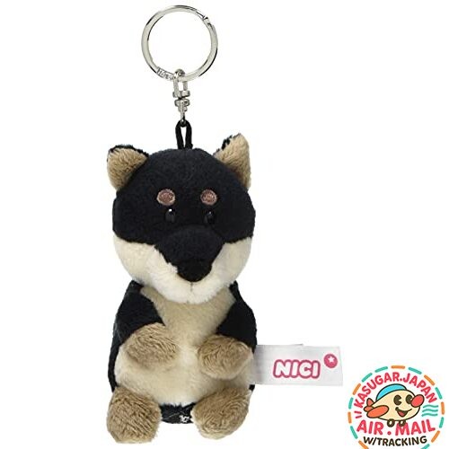 Nici black shiba - shiba, inu
