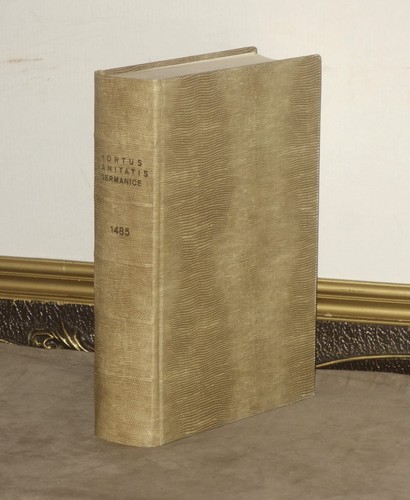 Raro antico libro erbe - antico,