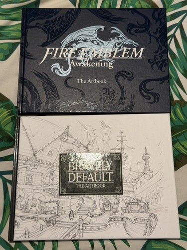 Nintendo fire emblem awakening - nintendo,