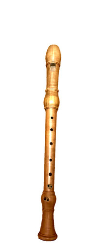 Fehr professional alto - professional,