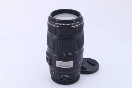Canon zoom 300 f4 5 - 300, 5.6