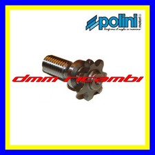 Pignone POLINI MiniMoto passo